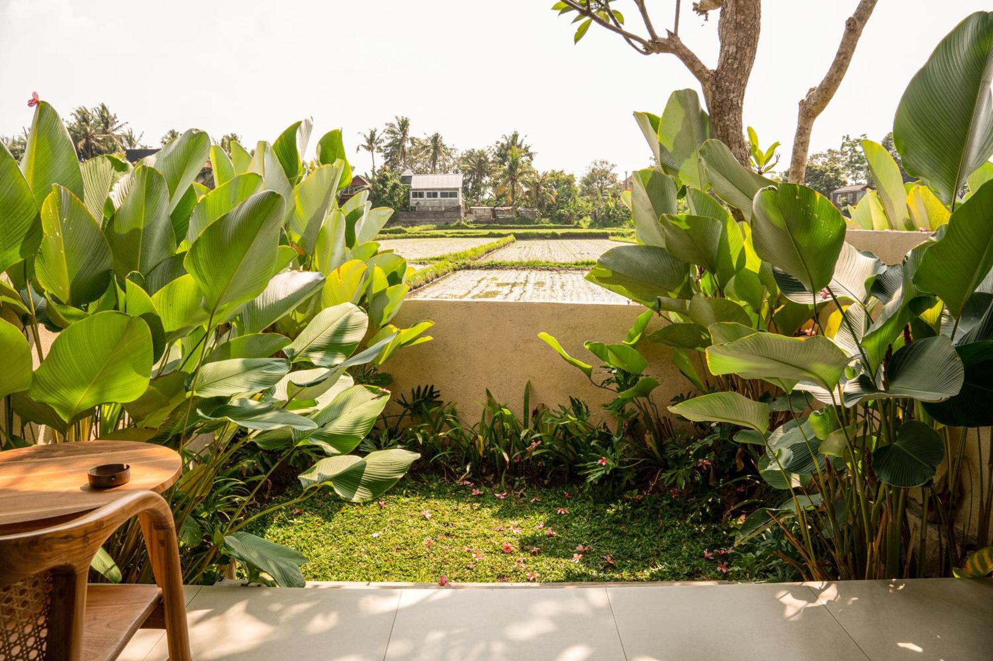Tut Winten Villa Ubud Exteriör bild